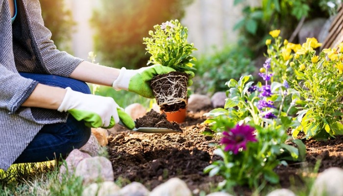 El sulfato de cobre tiene muchas funciones útiles para tu jardín y tus plantas del interior.