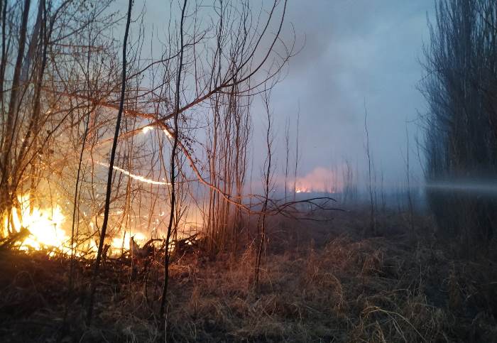 Foto Bomberos Voluntarios Tunuyán