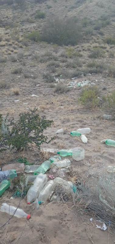 Medanobasura1 - Diario El Cuco Digital todas las noticias del Valle de Uco Medano-basura1