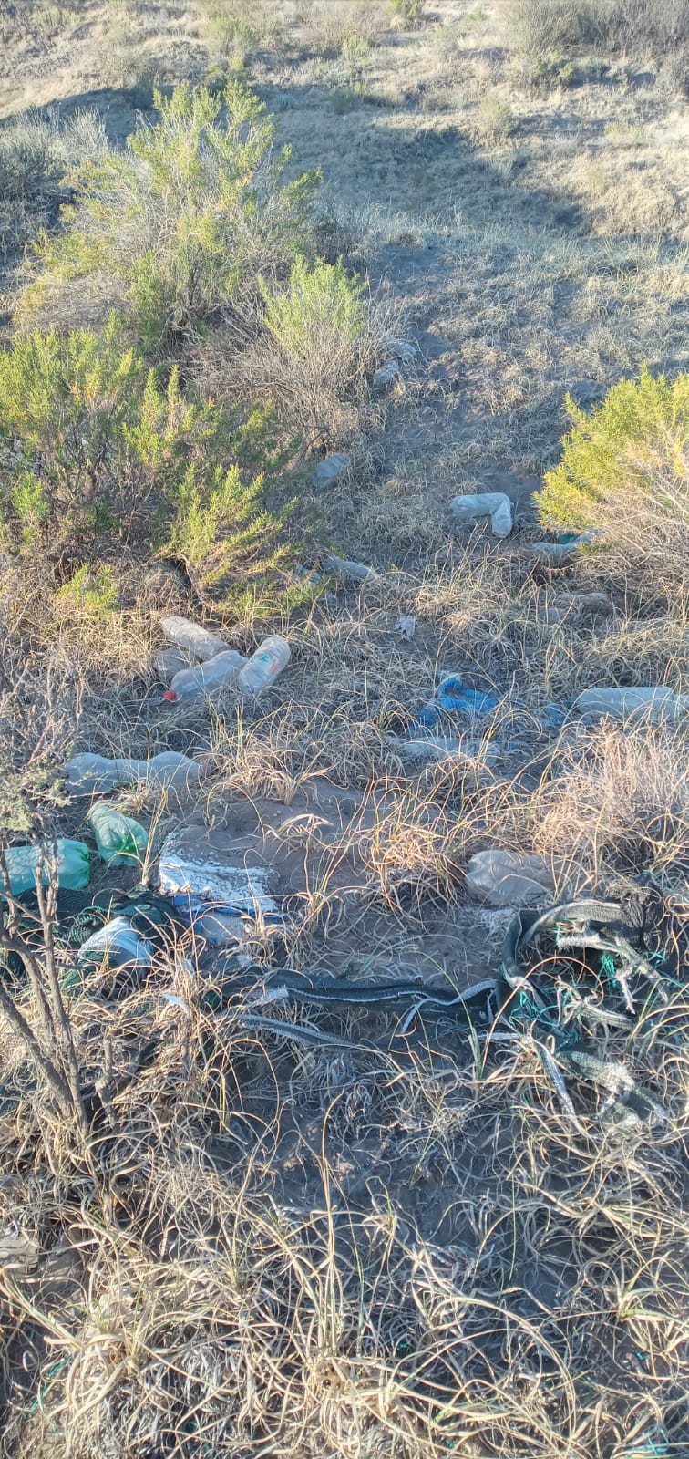 Médanobasura5 - Diario El Cuco Digital todas las noticias del Valle de Uco Médano-basura5