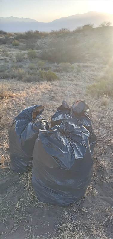 Medanobasura6 - Diario El Cuco Digital todas las noticias del Valle de Uco Medano-basura6