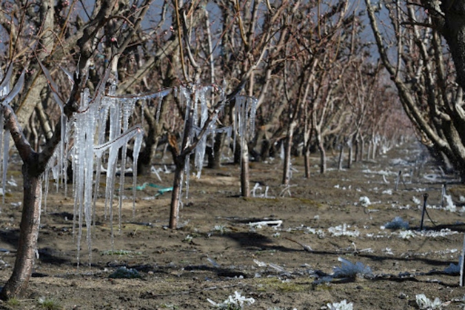 Estamos en temporada de riesgo de caída de granizo y heladas tardías.