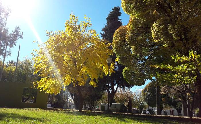 Plaza José Hernandez, San Carlos - foto Abi Romo, El Cuco Digital