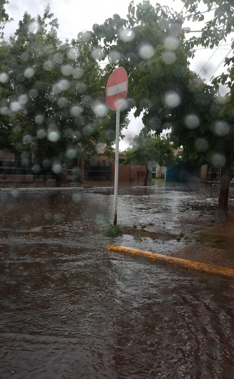 lluvialaconsulta22 Diario El Cuco Digital todas las noticias del Valle de Uco lluvia-la-consulta-22