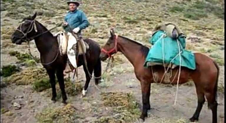 Montura robada