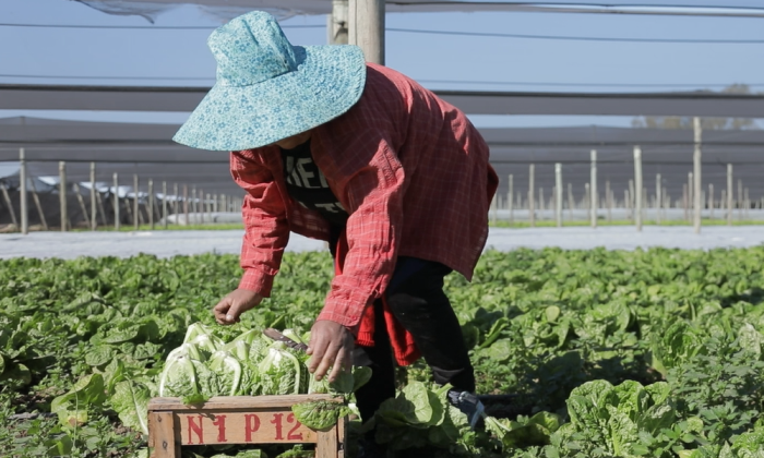 mujer-rural-foto-InterNos-Portada