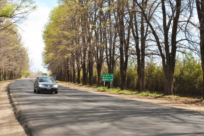 La obra se pensó de forma integral, por eso sumó además la demarcación de la Ruta Provincial 92, que une a la ciudad de Tunuyán con la 94 a través de Colonia Las Rosas,