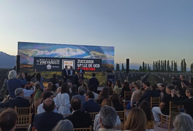 zuccardi-worldvineyards