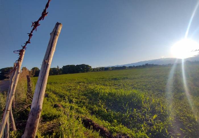 Foto tomada ayer domingo en la Villa San Carlos - Abi Romo, El Cuco Digital