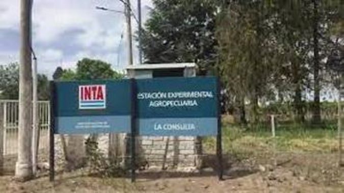INTA DE LA CONSULTA