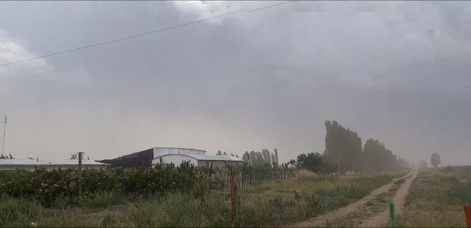 Viento en San Carlos