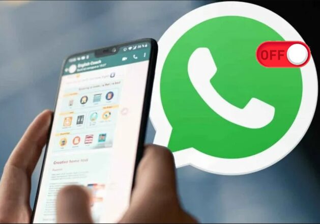 whatsapppp - Diario El Cuco Digital todas las noticias del Valle de Uco whatsapppp
