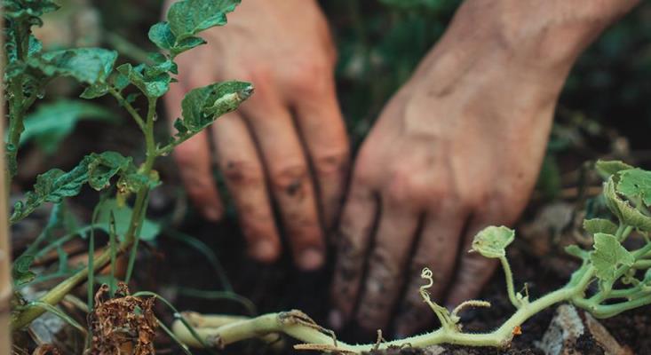 Foto Jonathan Kemper/Unplash