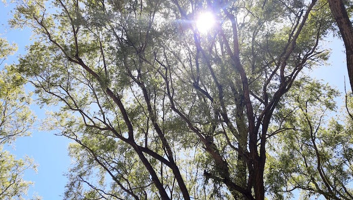 domingo soleado