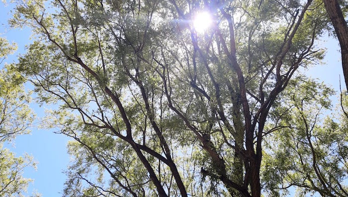 Domingo soleado en Valle de Uco.