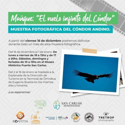 IMG20230104WA00401 Diario El Cuco Digital todas las noticias del Valle de Uco IMG-20230104-WA0040-1