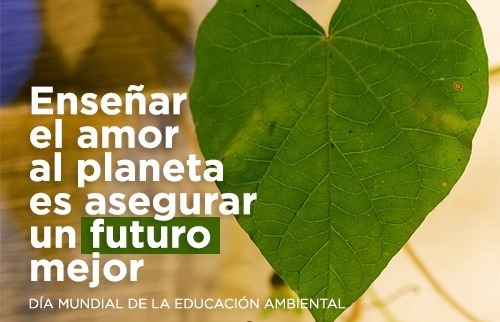 ed_ambiental_web_001