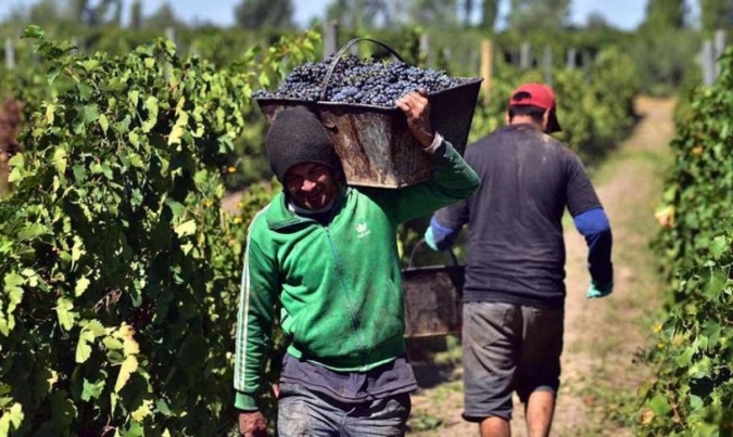 El 1° de febrero es el Día Nacional del Trabajador Vitivinícola.