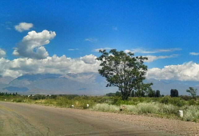 campo-mary gonzalez