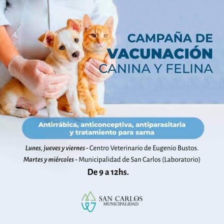 FBIMG1679667795774 Diario El Cuco Digital todas las noticias del Valle de Uco FB_IMG_1679667795774