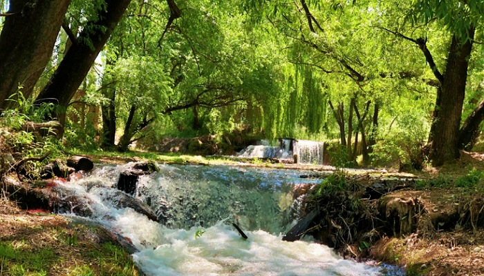 Se encuentra ubicado en el distrito El Peral, abarca 36 hectáreas arboladas y está surcado por un arroyo interno.