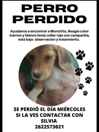 Screenshot20230323120611 Diario El Cuco Digital todas las noticias del Valle de Uco Screenshot_20230323-120611