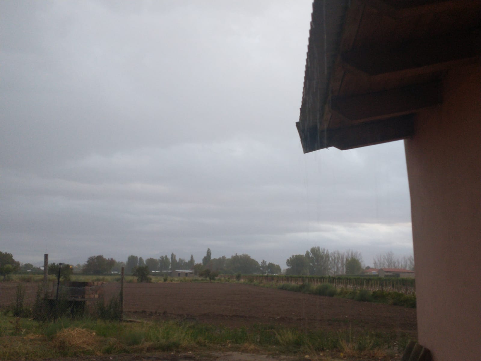 tormentainestabilidadsancarlosnubladofoto3elcucodigital Diario El Cuco Digital todas las noticias del Valle de Uco tormenta-inestabilidad-san-carlos-nublado-foto3-el-cuco-digital