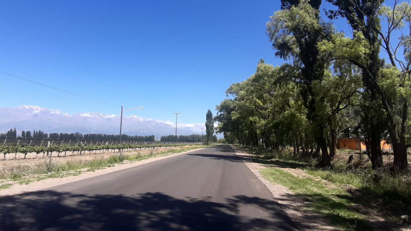 Desde el Concejo Deliberante de San Carlos, el Bloque de Cambia Mendoza, ha realizado un pedido de informe a la Municipalidad de San Carlos.