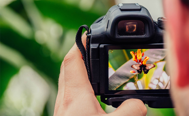 Fotografía-concurso-ambiental2021