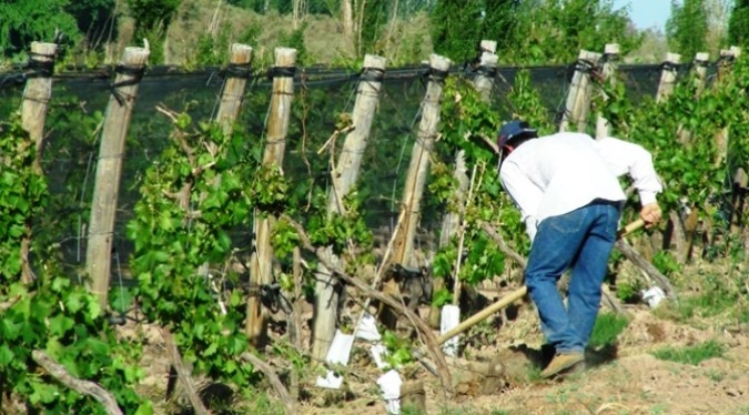 Más de 5.300 productores recibirán compensaciones en toda la provincia