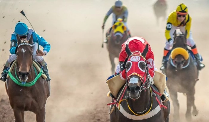 caballos-hipodromo