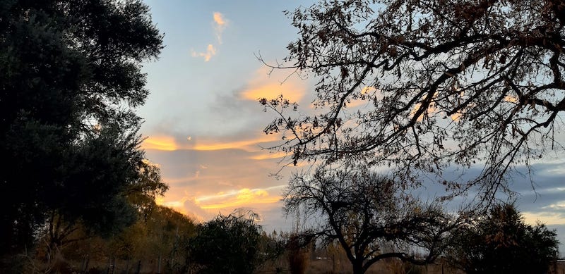 Atardecer en La Consulta, Valle de Uco.