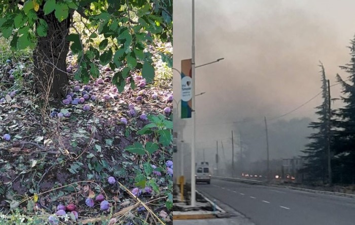 Frutos en el suelo por el granizo y humo por las quemas por heladas