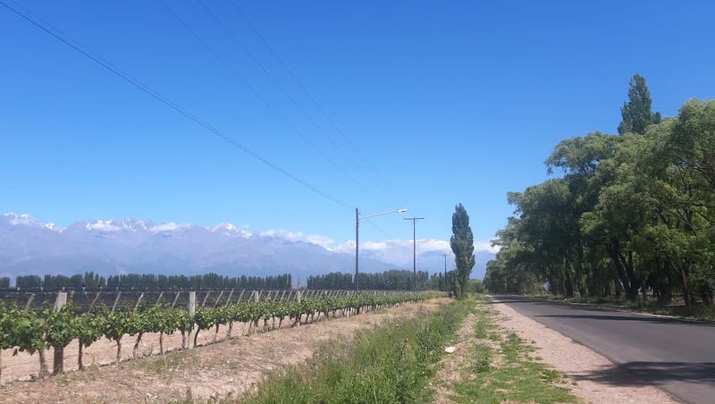 La Consulta- Valle de Uco