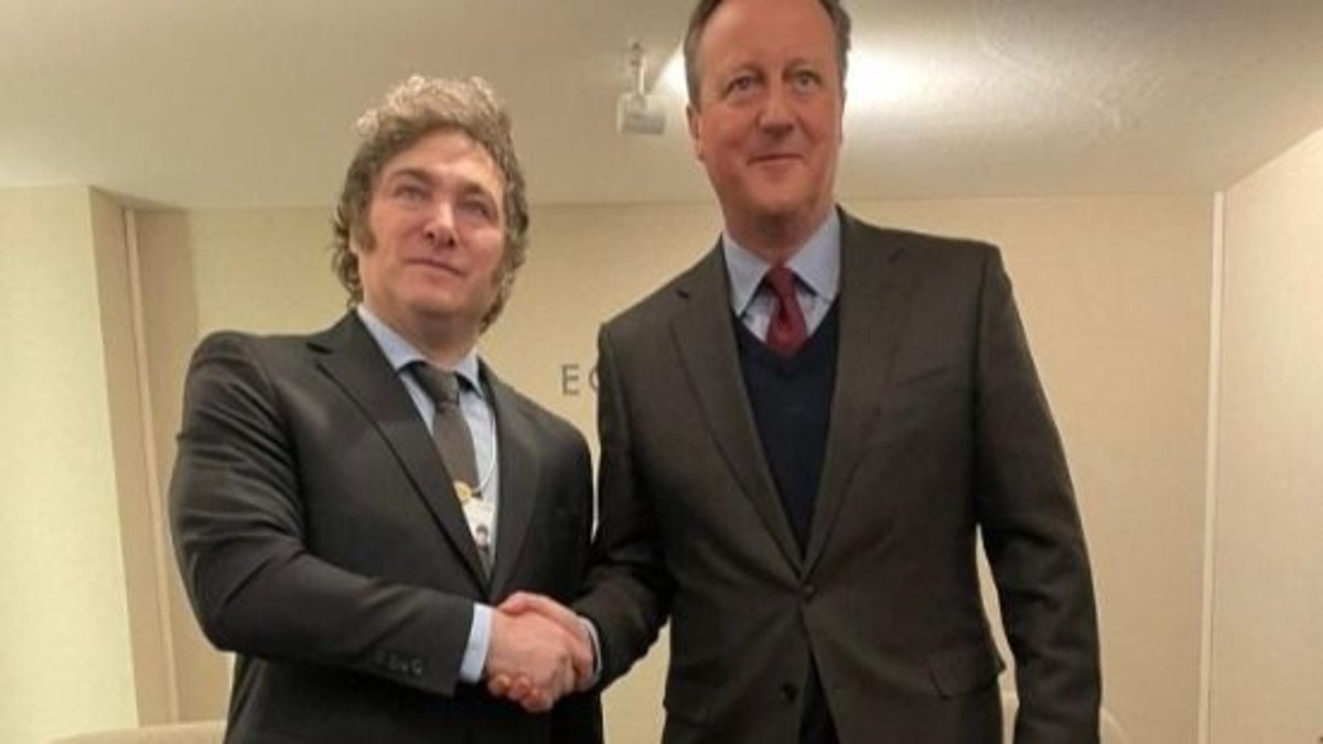 Javier Milei y David Cameron