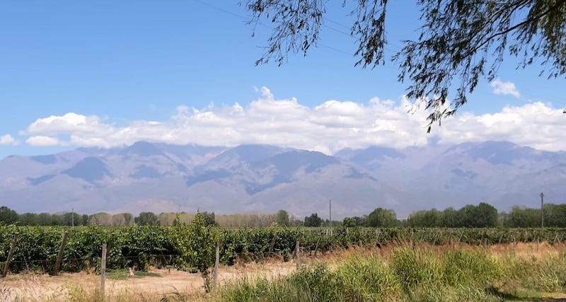 Paisaje de San Carlos, Valle de Uco.