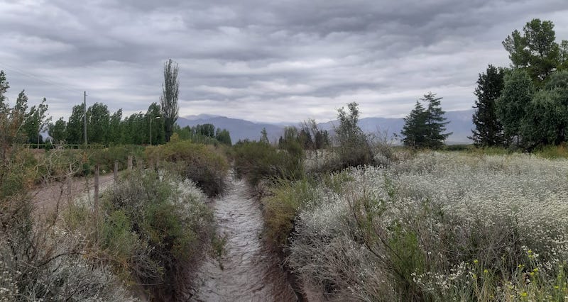 Paraje Furlotti, San Carlos, Valle de Uco.