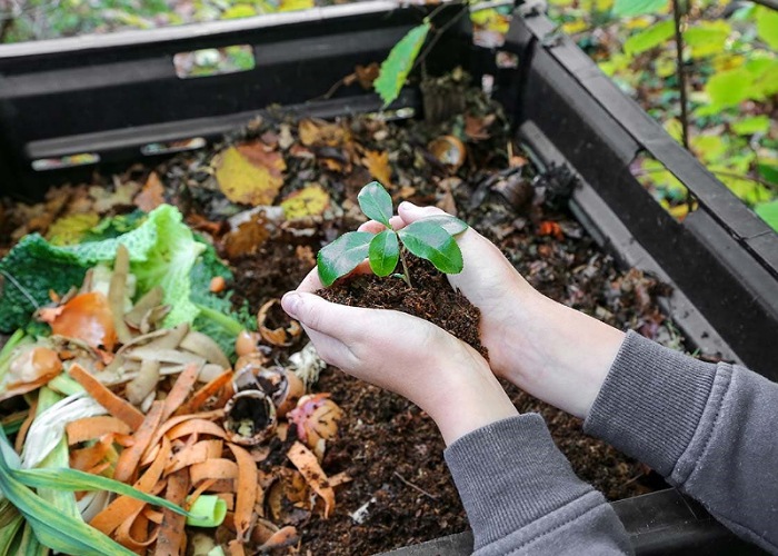 Conectar con la naturaleza a través del compostaje