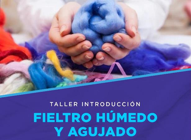 Taller de Fieltro San Carlos