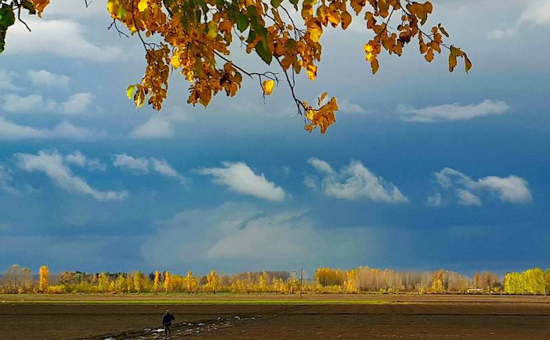 otoño en valle de Uco- foto Mary Gonzalez