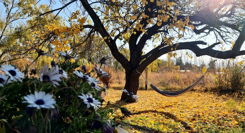 Otoño en Valle de Uco.