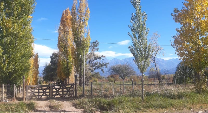 Paisaje de Valle de Uco.
