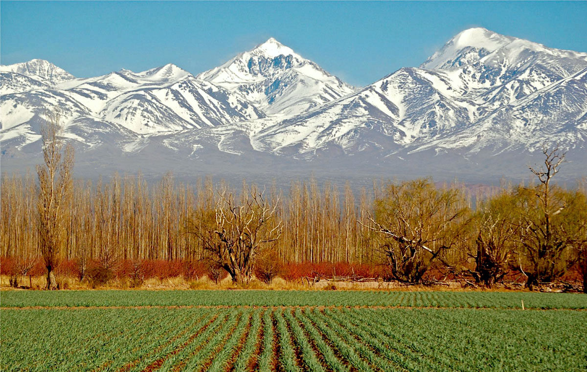 otoño-Mendoza