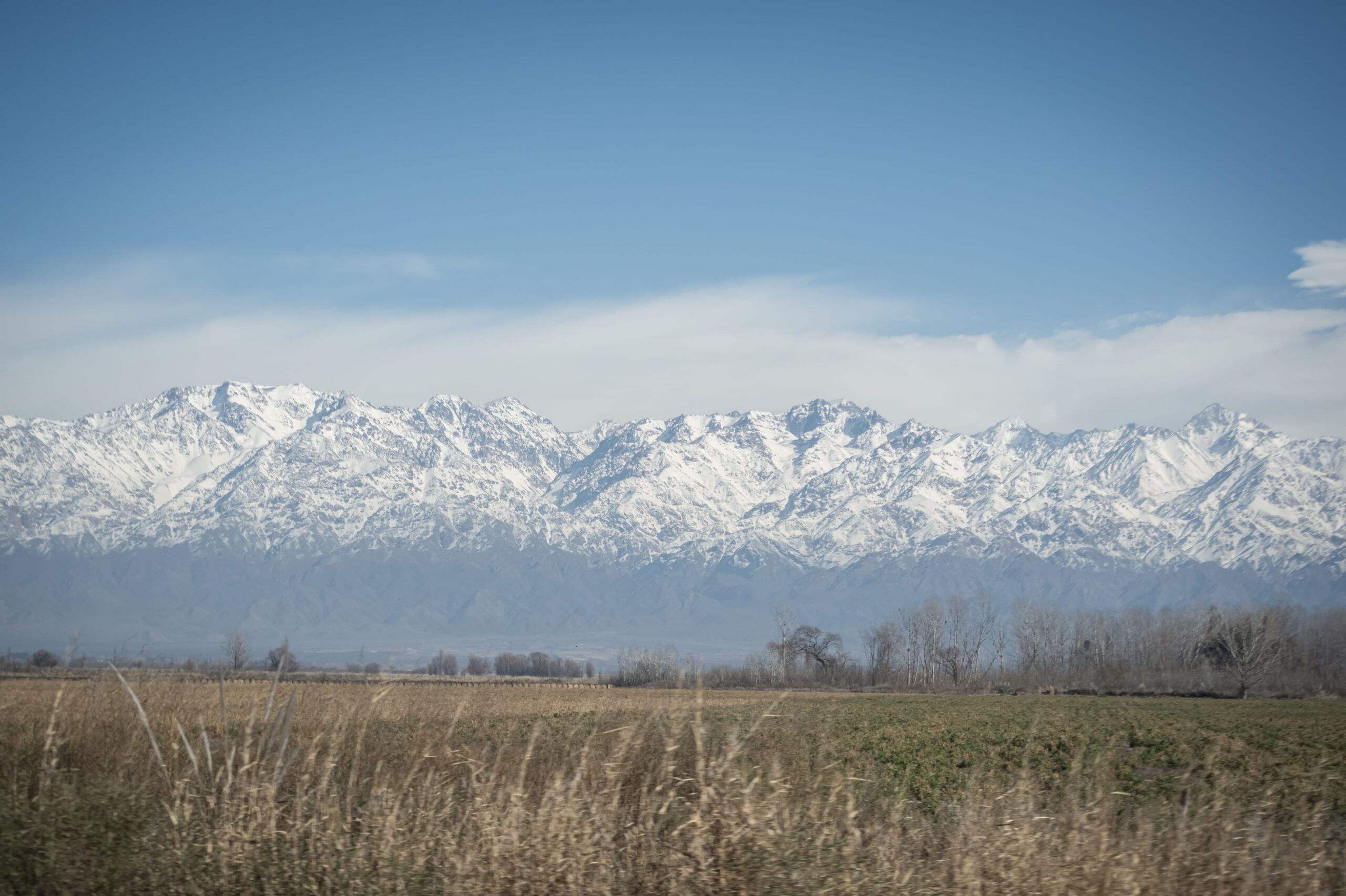 IMG-20240629-WA0038