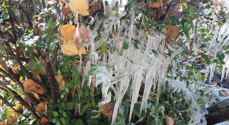 Hielo por todas partes en estos días.