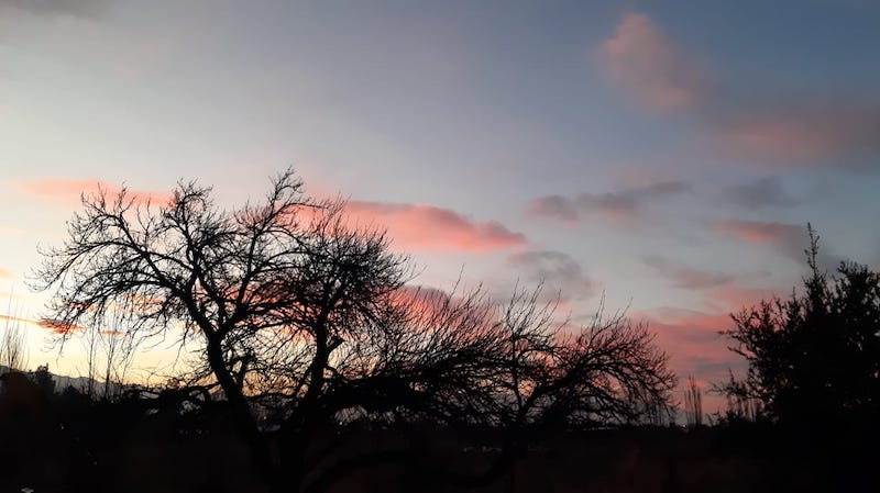 Atardecer en Valle de Uco.