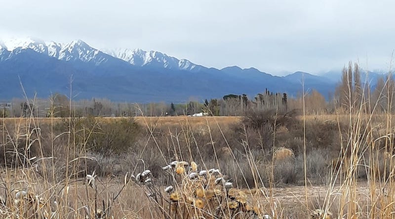 Invierno muy frío en Valle de Uco.