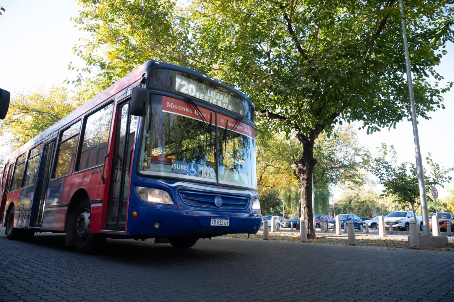 colectivo-1536x1022