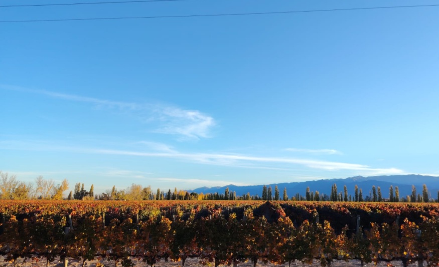 IMG-20250520-WA0023