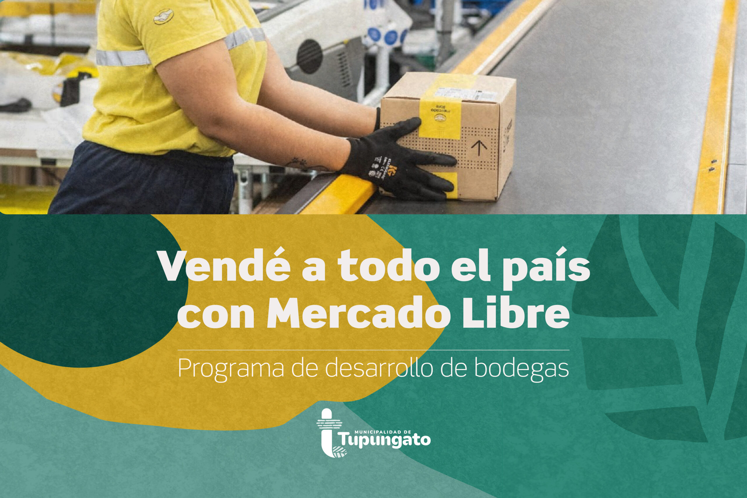 Programa de Desarrollo de Bodegas Tgto.